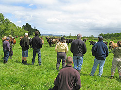 Biological farming & organic business