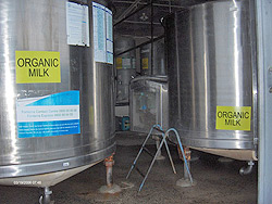 Fonterra Organic Milk Supply